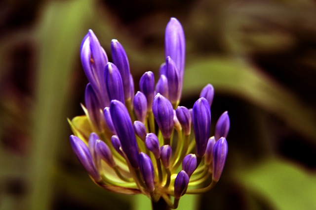 意甲联赛中 意甲联赛中