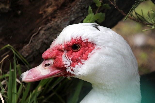通过严谨的 通过严谨的