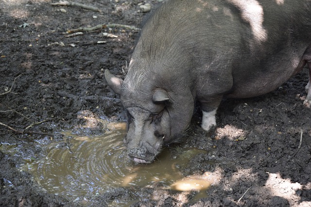 决策能力 决策能力