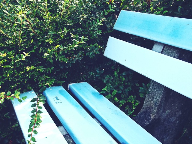 交媒体纷纷 交媒体纷纷