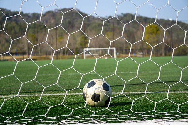 教育及资源 教育及资源